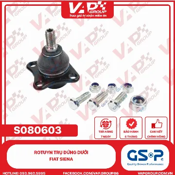 GSP Rotuyn trụ đứng dưới Fiat Siena