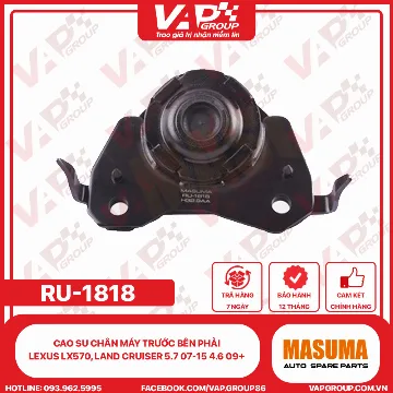 Cao su chân máy trước bên phải Lexus LX570, Land Cruiser 5.7 07-15 4.6 09+