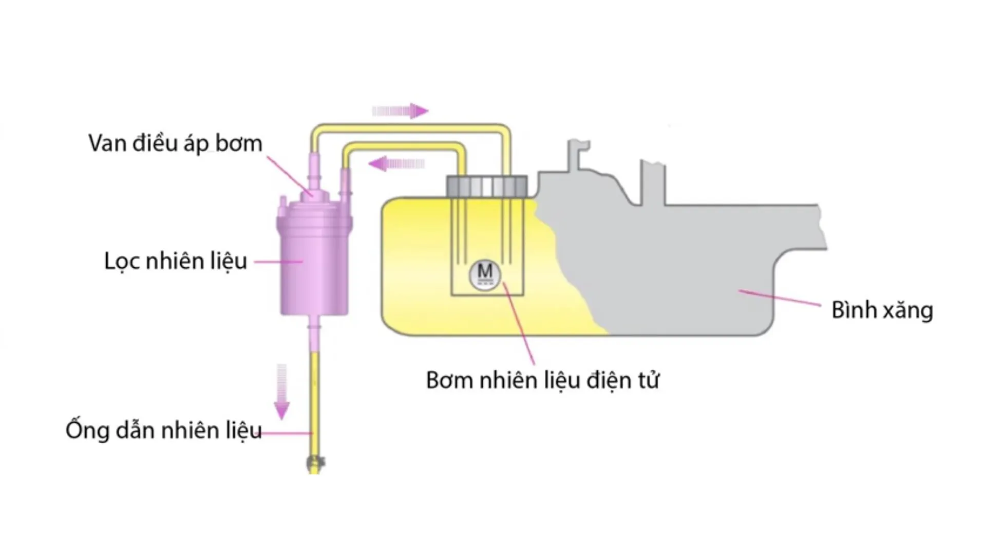 Hình ảnh vị trí lọc xăng ở trong động cơ có bộ chế hòa khí